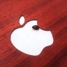Чехол накладка iWoodMaster MacBook Pro 15 Retina  дерево Падук  1