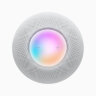 Умная колонка Apple HomePod mini Space Gray (Серый космос) 