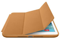Чехол книга-подставка Smart Case для iPad Pro 11 2020 Горничная